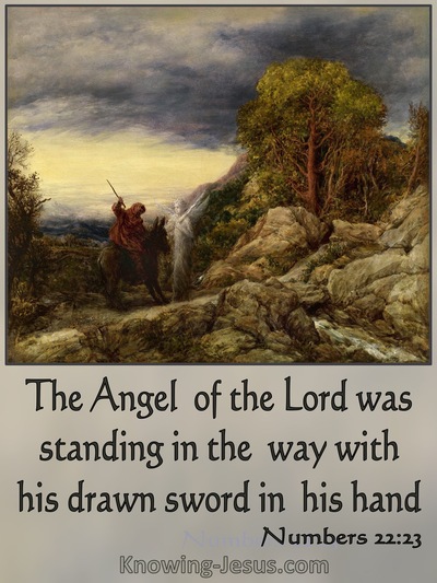 Numbers 22:23 The Angel Of The Lord Was Satnding In The Way With A Drawn Sword (gray)
